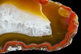 Beautiful Condor Agate From Argentina - Cut/Polished Face #79534-1